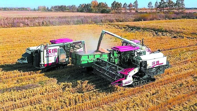 農(nóng)田滴灌過濾器安裝：確保灌溉效率的關(guān)鍵步驟